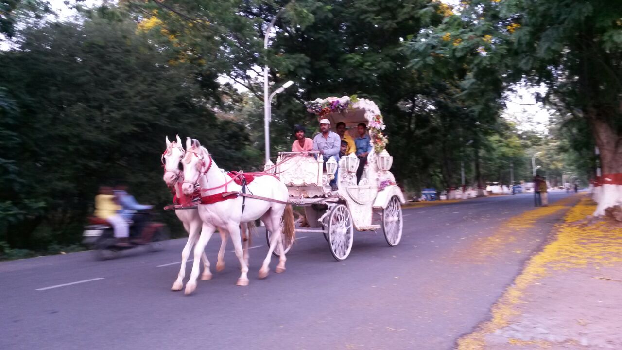 SREE VEDIKA EVENT MANAGEMENT